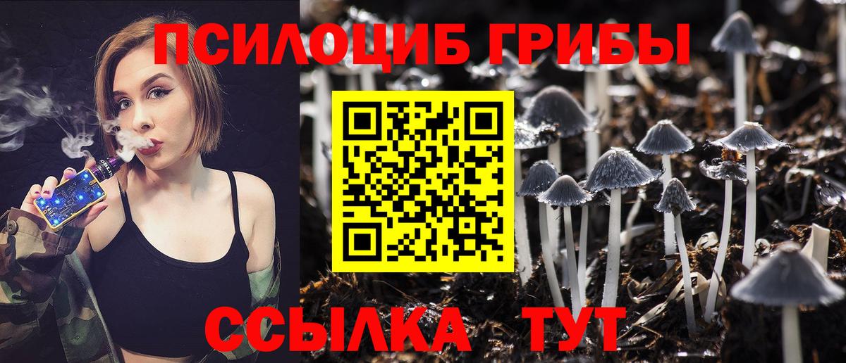 Губкин  Псилоцибиновые грибы Psilocybine cubensis  сколько стоит  Вход с VPN 