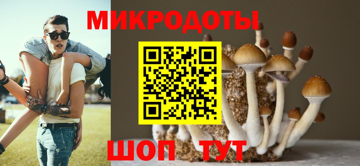Галлюциногенные грибы Magic Shrooms Губкин